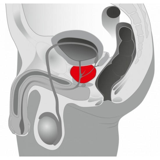 Массажер простаты / Booster Prostate Vibrator Массажер простаты / Booster Prostate Vibrator