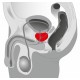 Массажер простаты / Booster Prostate Vibrator Массажер простаты / Booster Prostate Vibrator