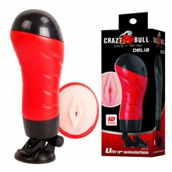 Вагина-вибромаструбатор в колбе / Delia, Men's Stroker