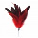 Лоскітка червона Art of Sex - Feather Paddle, перо молодого півня