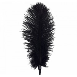 Лоскітка зі страусиним пером Піка Art of Sex - Feather Tickler, колір Чорний Лоскітка зі страусиним пером Піка Art of Sex - Feather Tickler, колір Чорний